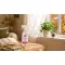 Clear the Air: Your Indoor Wellness Toolkit for Autumn