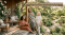 Across the Ages: Sustaining Energy Throughout a Woman's Life