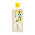 Andalou Naturals | Brilliant Shine Sunflower & Citrus Shampoo