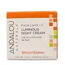 Andalou Naturals | Brightening Purple Carrot+C Luminous Night Cream
