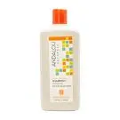Andalou Naturals | Argan & Shea Moisture Rich Shampoo