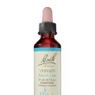Bach Flower Remedies | Vervain