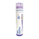 Boiron | Apis Mellifica 30CH Single Tube 80 Pellets