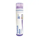 Boiron | Arsenicum Album 30CH Single Tube 80 Pellets