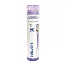 Boiron | Belladonna 30CH Single Tube 80 Pellets