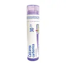 Boiron | Calcarea Carbonica 30CH Tube Unique 80 Granules