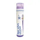 Boiron | Hepar Sulfuris Calcareum 30CH Single Tube 80 Pellets