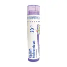 Boiron | Kalium Bichromicum 30CH Single Tube 80 Pellets