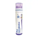 Boiron | Rhus Toxicodendron 30CH Single Tube 80 Pellets