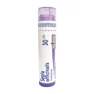 Boiron | Sepia Officinalis 30CH Single Tube 80 Pellets