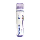 Boiron | Staphysagria 30CH Single Tube 80 Pellets