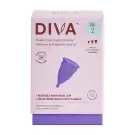 Divacup | Model 2