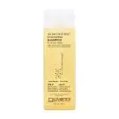 Giovanni | Tea Tree Triple Treat Invigorating Shampoo