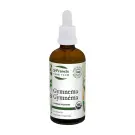 St Francis | Gymnema Sylvestre Tincture