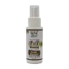 Herbal Glo | Pre-Shampoo Scalp Booster Spray