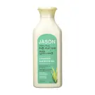 Jason | Moisturizing 84% Aloe Vera Shampoo 473mL