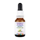 New Roots | Wild Oregano C93 Oil With Garlic