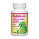 Natural Factors | Big Friends Bubble Gum Flavour Magnesium Citrate 50mg Chewable Tablets