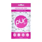 Pur | Pomegranate Mint Gum Bag 77g