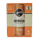 Remedy | Organic Orange Splash Kombucha