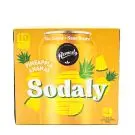 Remedy | Sodaly Pineapple