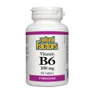 Natural Factors | Vitamin B6 (Pyridoxine) 100mg Tablets