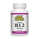 Natural Factors | Vitamin B12(Cyanacolbalamin) 250mcg Tablets 90's
