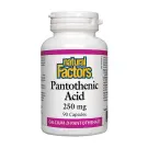 Natural Factors | Vitamin B5 (Pantothenic Acid) 250mg Capsules