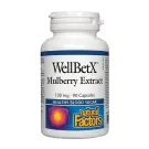 Natural Factors | WellBetX Mulberry Extract 100mg Capsules