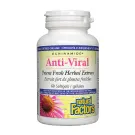 Natural Factors | Echinamide Anti-Viral Extrait Herbal Puissant Frais Capsules Molles