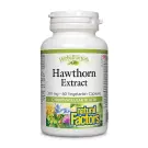 Natural Factors | Hawthorn Extract Vegetarian Capsules 60's