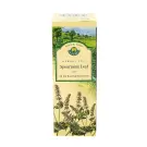 Herbaria | Spearmint Leaf Tea