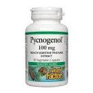 Natural Factors | Pycnogenol 100mg Vegetarian Capsules