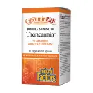 Natural Factors | Gélules Végétales CurcuminRich Double Force 60mg Theracurmin