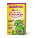 Natural Factors | Big Friends Organic Echinacea No Alcohol Natural Berry Flavour Tincture 50ml