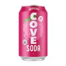Cove Soda | Organic Raspberry Soda 355ml