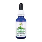 New Roots | Cornmint (Wild Field Mint) Essential Oil 30ml