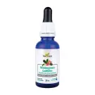 New Roots | Wintergreen Essential Oil