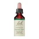 Bach Flower Remedies | Agrimony