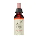 Bach Flower Remedies | Cherry Plum