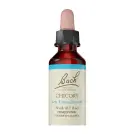 Bach Flower Remedies | Chicory