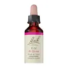 Bach Flower Remedies | Elm