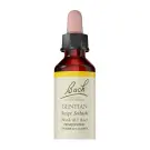 Bach Flower Remedies | Gentian
