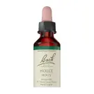 Bach Flower Remedies | Holly