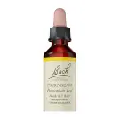 Bach Flower Remedies | Hornbeam