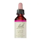 Bach Flower Remedies | Larch