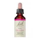 Bach Flower Remedies | Oak