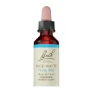 Bach Flower Remedies | Rock Water