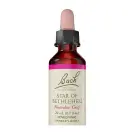 Bach Flower Remedies | Star Of Bethlehem