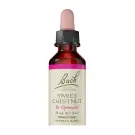 Bach Flower Remedies | Sweet Chestnut